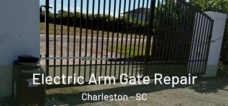  Electric Arm Gate Repair Charleston - SC