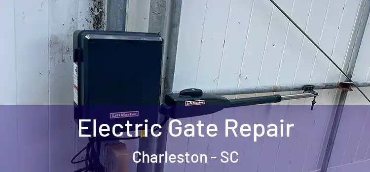 Electric Gate Repair Charleston - SC