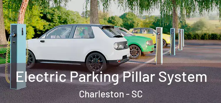  Electric Parking Pillar System Charleston - SC