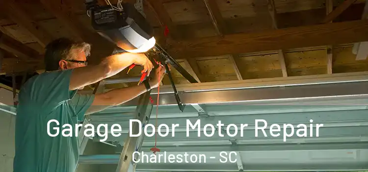  Garage Door Motor Repair Charleston - SC