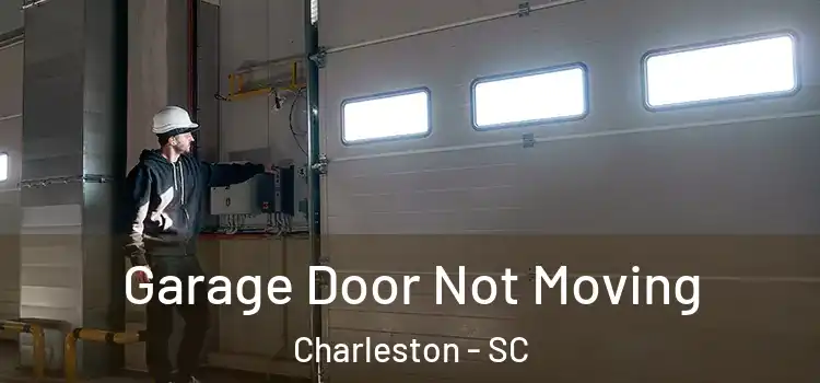  Garage Door Not Moving Charleston - SC