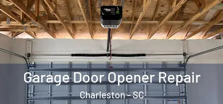  Garage Door Opener Repair Charleston - SC