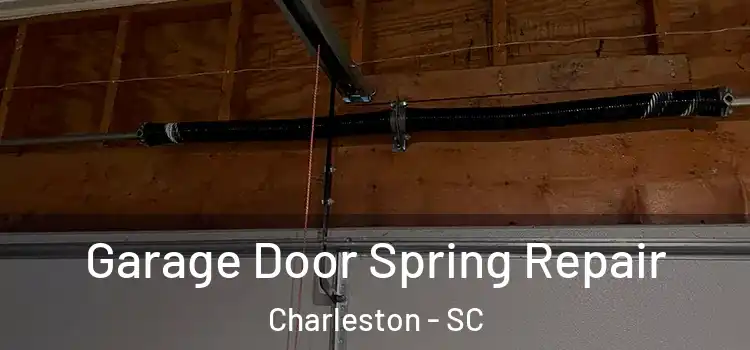  Garage Door Spring Repair Charleston - SC