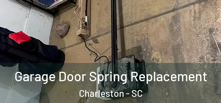  Garage Door Spring Replacement Charleston - SC