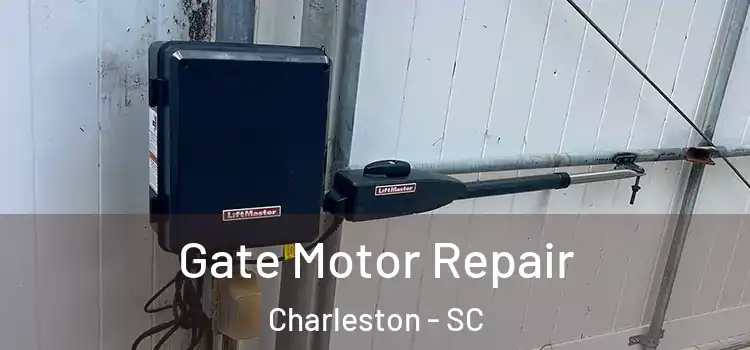 Gate Motor Repair Charleston - SC