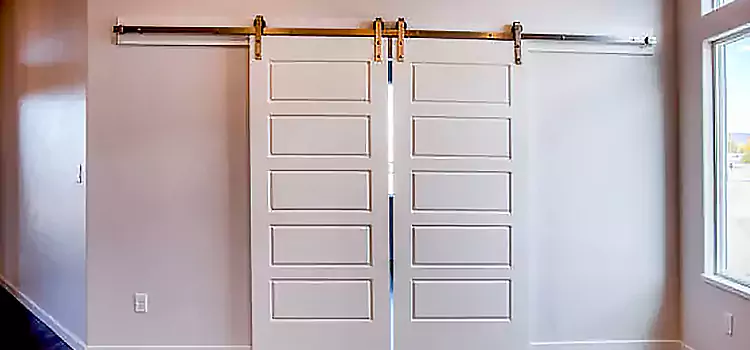 Glass Barn Door with Installation Hardware Kit Charleston