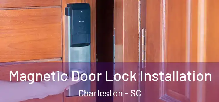  Magnetic Door Lock Installation Charleston - SC