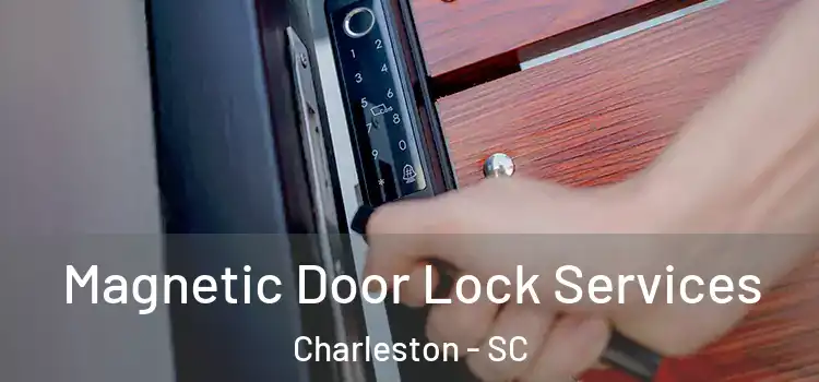 Magnetic Door Lock Services Charleston - SC