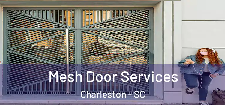  Mesh Door Services Charleston - SC